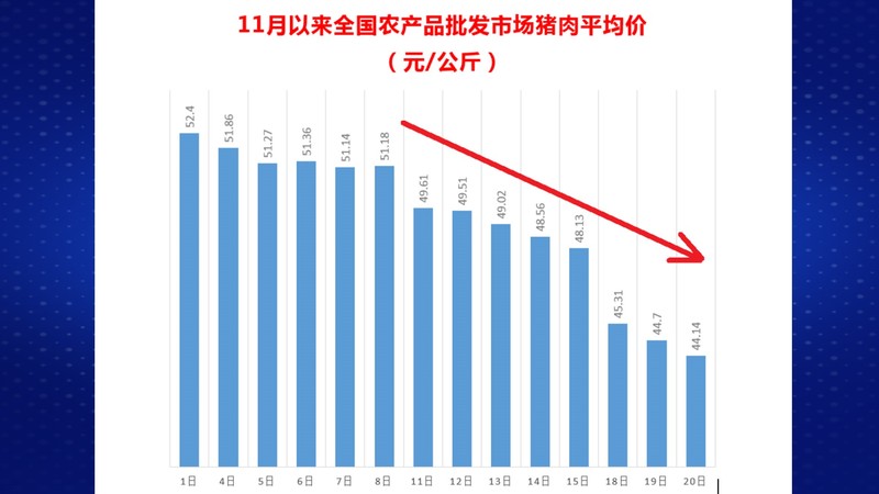 d5ce8446-298d-4c9d-aaaa-42165e8ed9e3.jpg